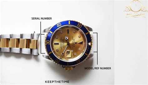 kiểm tra dong ho rolex.